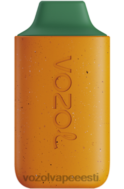 VOZOL Hind mango virsik arbuus - VOZOL STAR 6000 PLNFX120