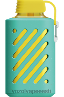 VOZOL Hind vaarikas arbuus - VOZOL GEAR 10 000 PLNFX306