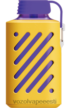 VOZOL Osta sidruni laim - VOZOL GEAR 10 000 PLNFX317