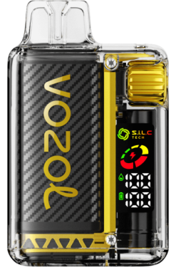 VOZOL Vape Eesti mango jää - VOZOL VISTA 16000/20000 PLNFX8