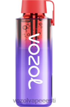 VOZOL Vape Eesti murakajää - VOZOL NEON 10 000 PLNFX242