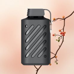 VOZOL GEAR 10000 Puffs Seemnedest Seebipuu 500mAh 20ml