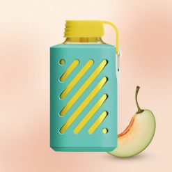 VOZOL GEAR 10000 Puffs Tallinna Mint 500mAh 20ml Nikotiin