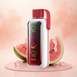 VOZOL Star 20000 Puffs Arbuusi Jää 650mAh Dual Mesh